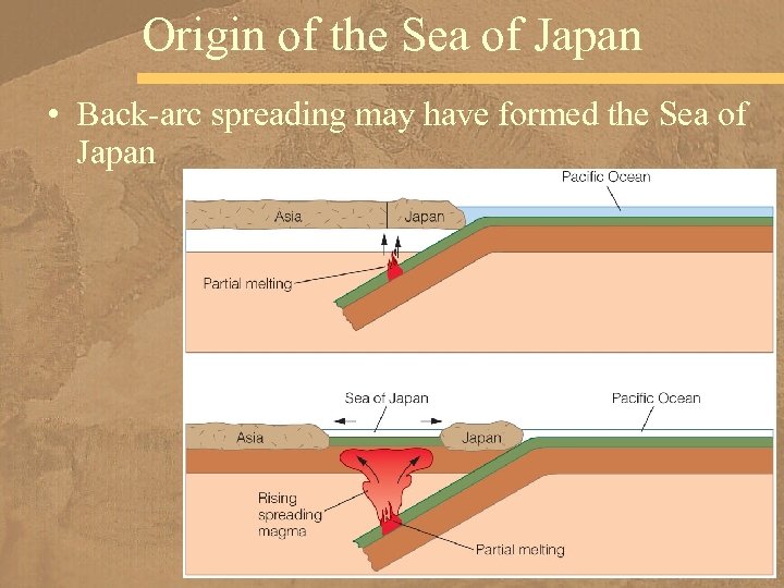 Origin of the Sea of Japan • Back-arc spreading may have formed the Sea
