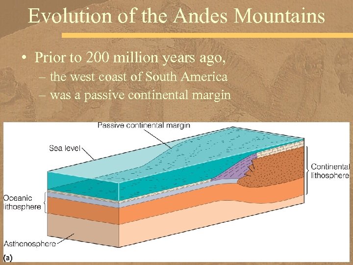 Evolution of the Andes Mountains • Prior to 200 million years ago, – the