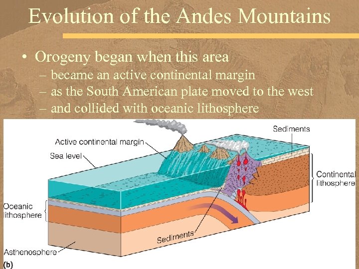 Evolution of the Andes Mountains • Orogeny began when this area – became an