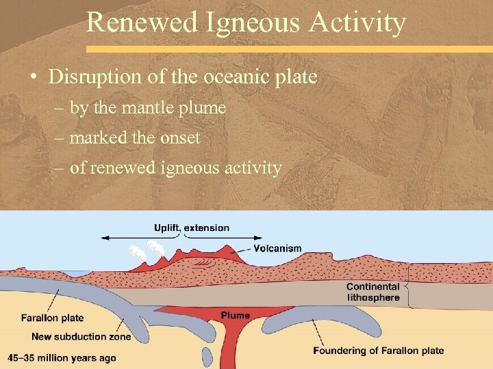 Renewed Igneous Activity • Disruption of the oceanic plate – by the mantle plume
