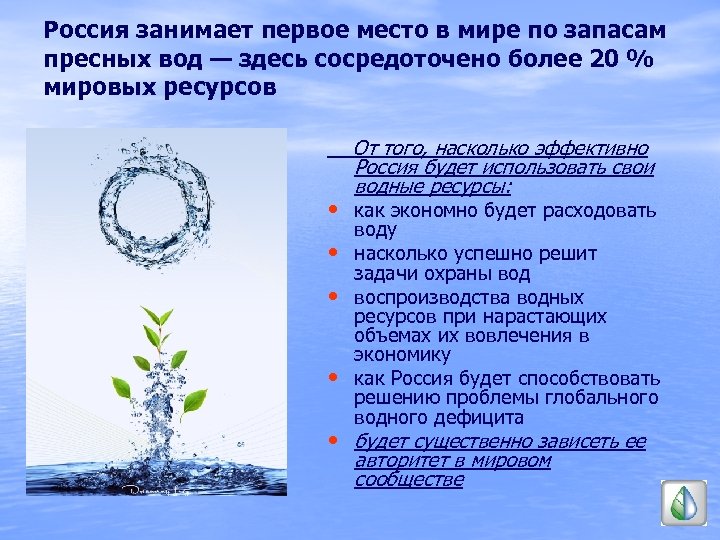 Россия занимает первое место в мире по запасам пресных вод — здесь сосредоточено более