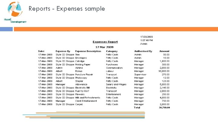Reports - Expenses sample 