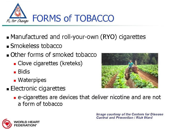 FORMS of TOBACCO Manufactured and roll-your-own (RYO) cigarettes n Smokeless tobacco n Other forms