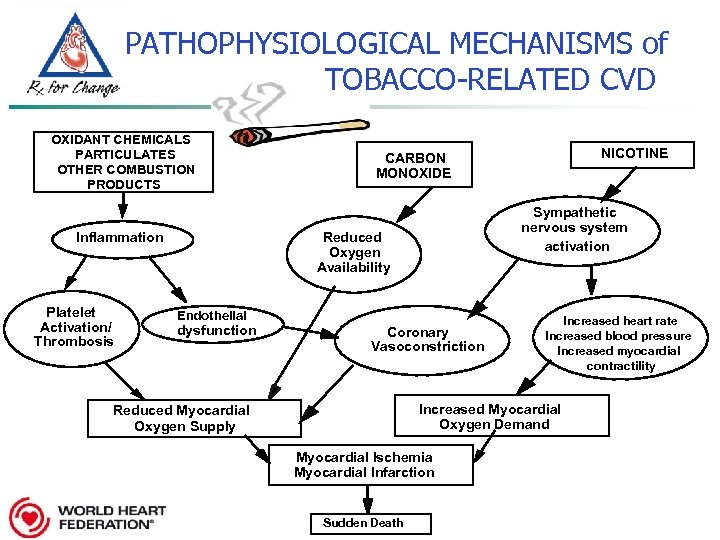 PATHOPHYSIOLOGICAL MECHANISMS of TOBACCO-RELATED CVD OXIDANT CHEMICALS PARTICULATES OTHER COMBUSTION PRODUCTS Inflammation Platelet Activation/