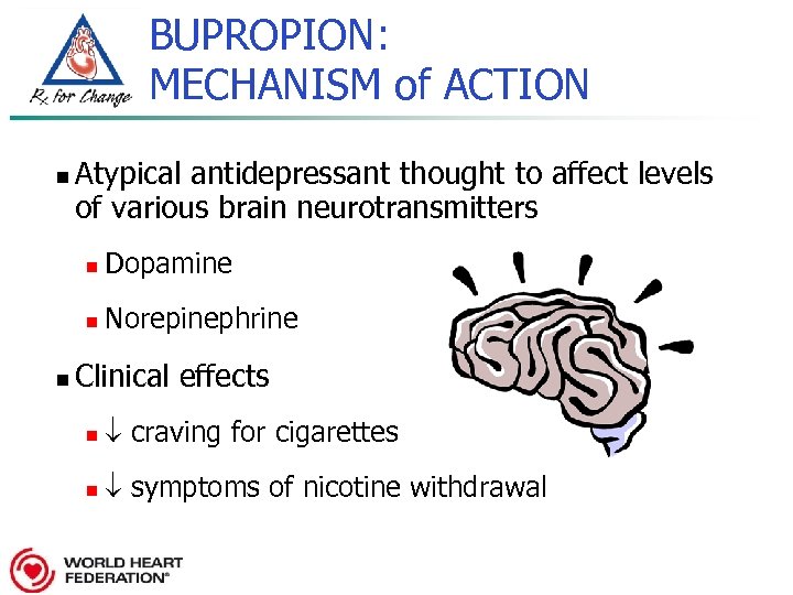 BUPROPION: MECHANISM of ACTION n Atypical antidepressant thought to affect levels of various brain