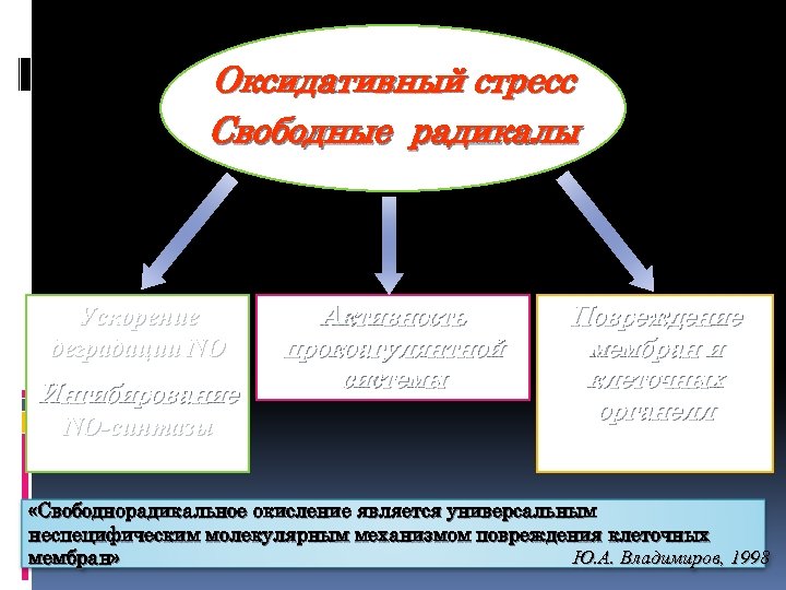 Оксидативный стресс Свободные радикалы Ускорение деградации NO Ингибирование NO-синтазы Активность прокоагулянтной системы Повреждение мембран