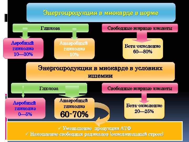 Энергопродукция в миокарде в норме Глюкоза Аэробный гликолиз 10— 30% Анаэробный гликолиз 10% Свободные