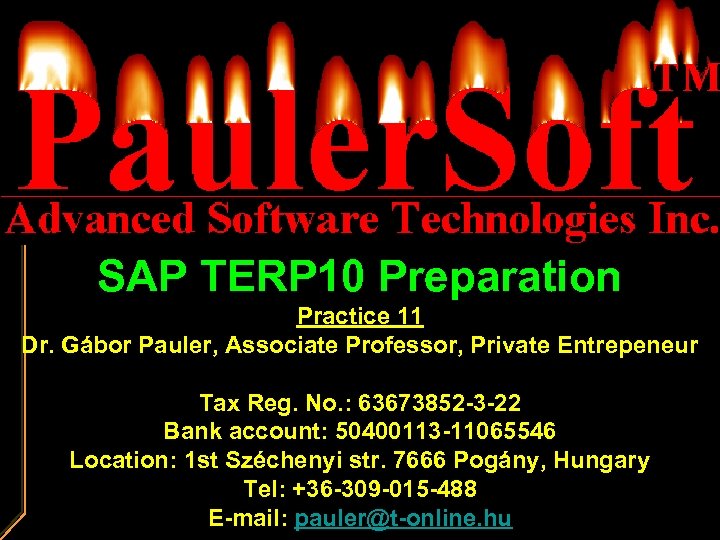 SAP TERP 10 Preparation Practice 11 Dr. Gábor Pauler, Associate Professor, Private Entrepeneur Tax