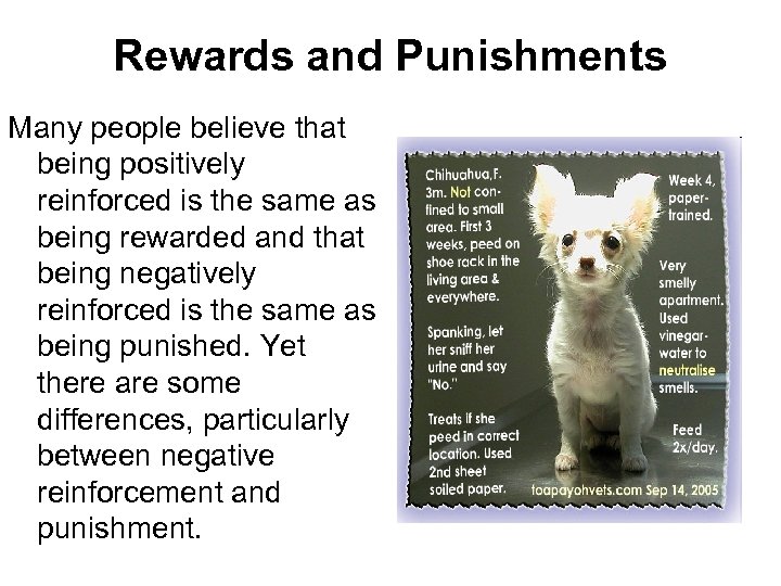 Rewards and Punishments Many people believe that being positively reinforced is the same as