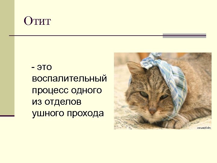 Отит - это воспалительный процесс одного из отделов ушного прохода 