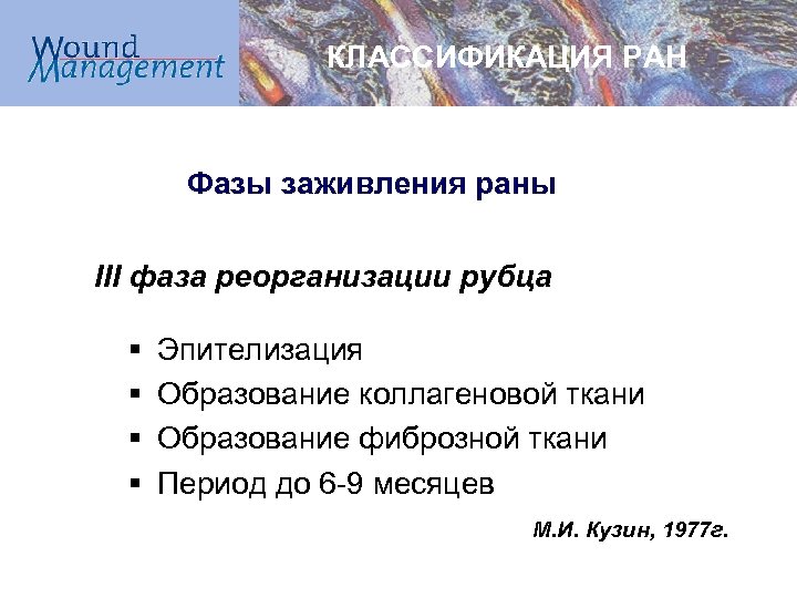 КЛАССИФИКАЦИЯ РАН Фазы заживления раны III фаза реорганизации рубца § § Эпителизация Образование коллагеновой