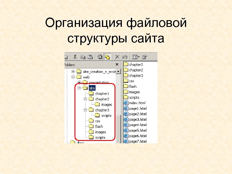 Физическая структура сайта