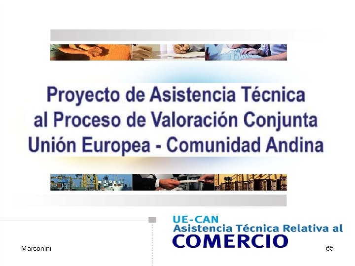 Asistencia Técnica al Proceso de Valoración Conjunta Marconini Unión Europea - Comunidad Andina 65