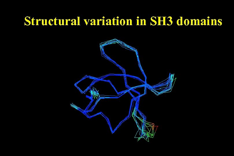 Structural variation in SH 3 domains 