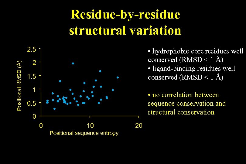 Residue-by-residue structural variation Positional RMSD (Å) 2. 5 • hydrophobic core residues well conserved