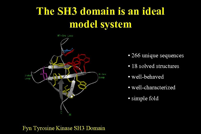 The SH 3 domain is an ideal model system • 266 unique sequences •