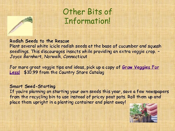 Other Bits of Information! Radish Seeds to the Rescue Plant several white icicle radish