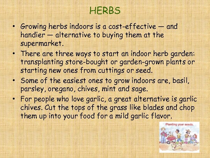 HERBS • Growing herbs indoors is a cost-effective — and handier — alternative to