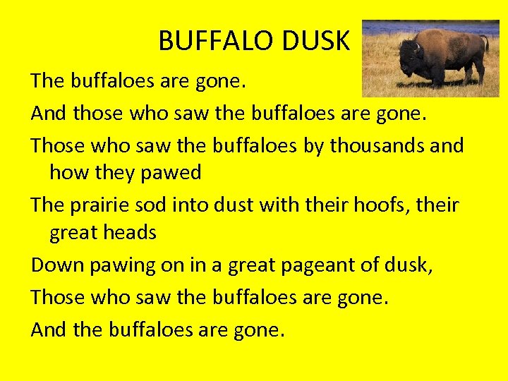 BUFFALO DUSK The buffaloes are gone. And those who saw the buffaloes are gone.