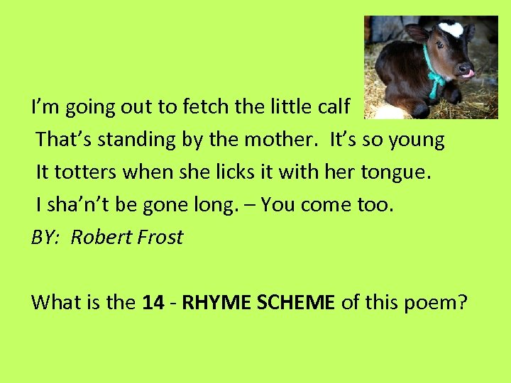 I’m going out to fetch the little calf That’s standing by the mother. It’s