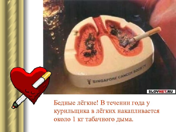 Бедные лёгкие! В течении года у курильщика в лёгких накапливается около 1 кг табачного
