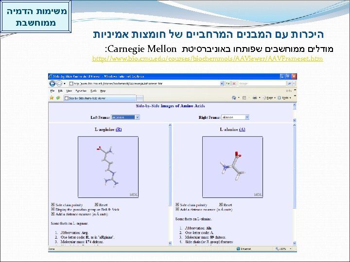  היכרות עם המבנים המרחביים של חומצות אמיניות מודלים ממוחשבים שפותחו באוניברסיטת : Carnegie