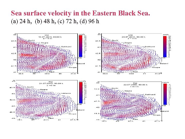 Sea surface velocity in the Eastern Black Sea. (a) 24 h, (b) 48 h,