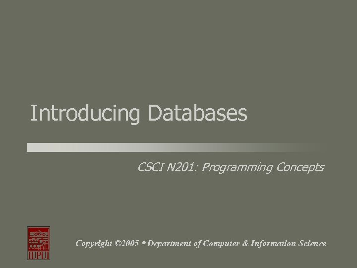 Introducing Databases CSCI N 201: Programming Concepts Copyright © 2005 Department of Computer &