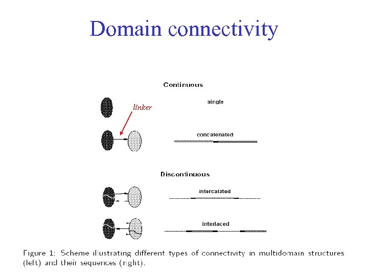 Domain connectivity linker 