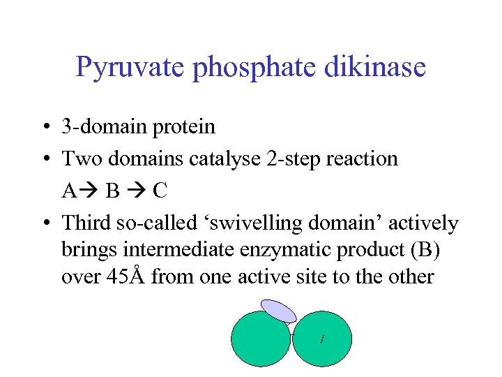 Pyruvate phosphate dikinase • 3 -domain protein • Two domains catalyse 2 -step reaction