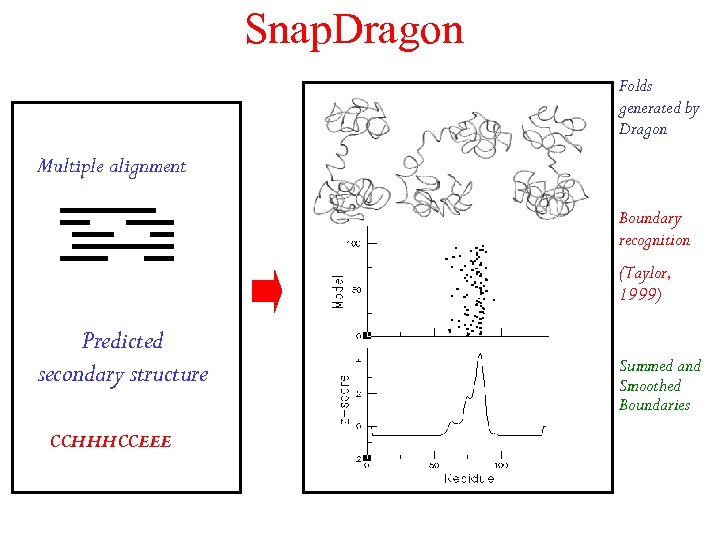 Snap. Dragon Folds generated by Dragon Multiple alignment Boundary recognition (Taylor, 1999) Predicted secondary