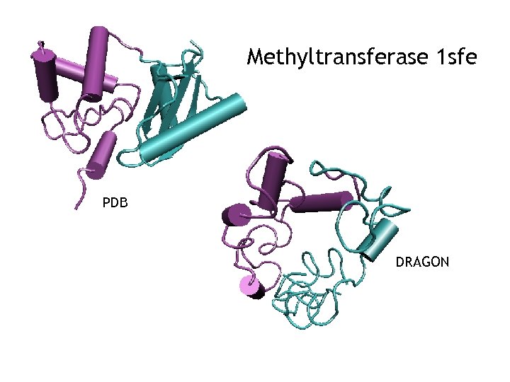 Methyltransferase 1 sfe PDB DRAGON 