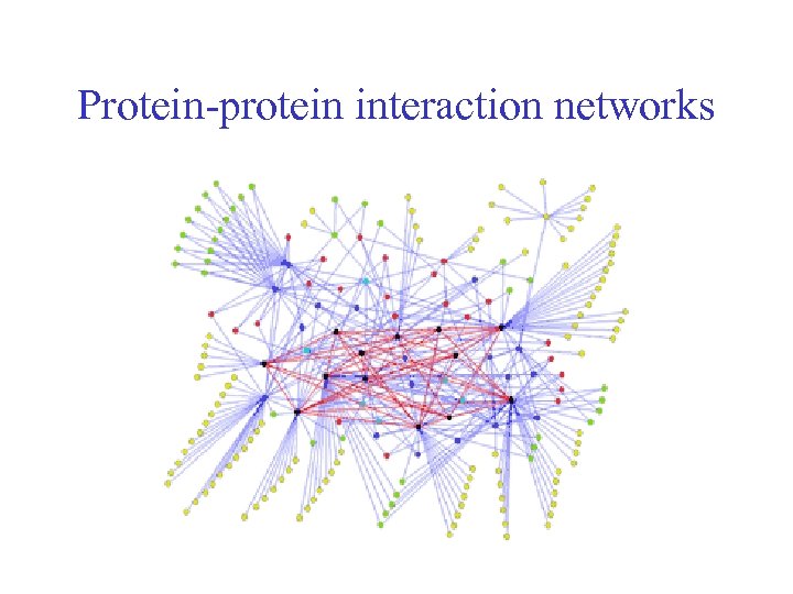 Protein-protein interaction networks 