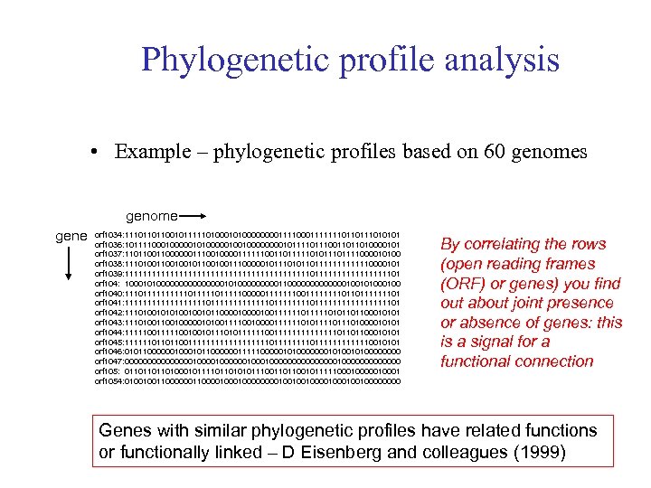 Phylogenetic profile analysis • Example – phylogenetic profiles based on 60 genomes genome gene