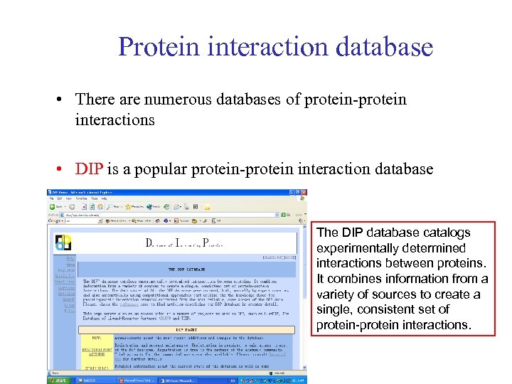 Protein interaction database • There are numerous databases of protein-protein interactions • DIP is