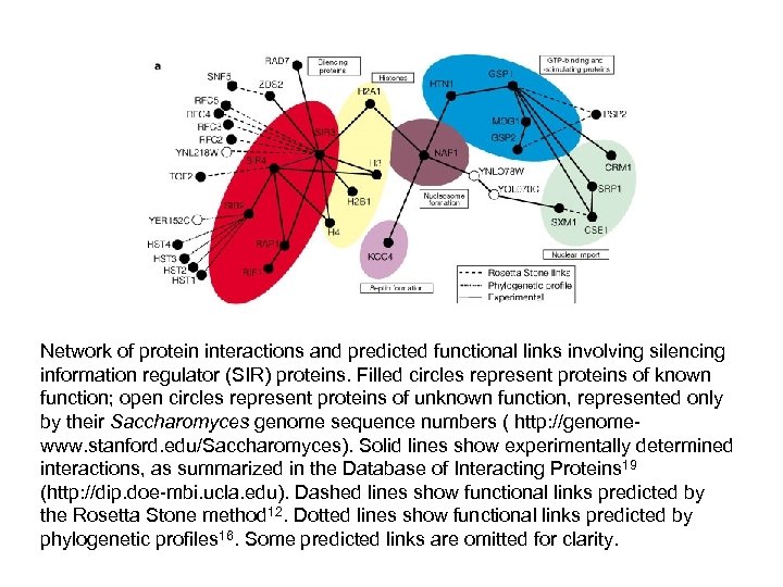 Network of protein interactions and predicted functional links involving silencing information regulator (SIR) proteins.