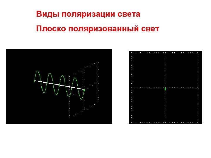 Поляризация света рисунок