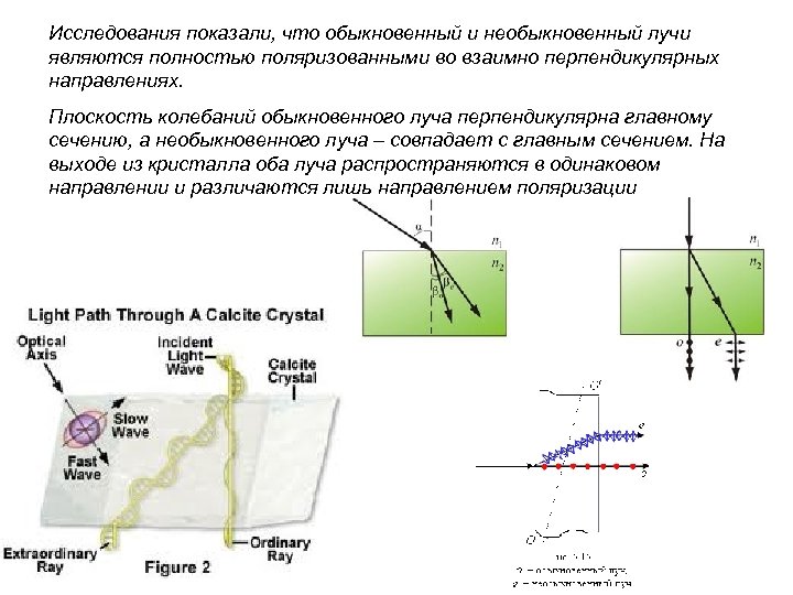 Исследования показали, что обыкновенный и необыкновенный лучи являются полностью поляризованными во взаимно перпендикулярных направлениях.