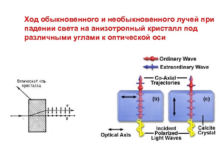Ход обыкновенного и необыкновенного лучей при падении света на анизотропный кристалл под различными углами