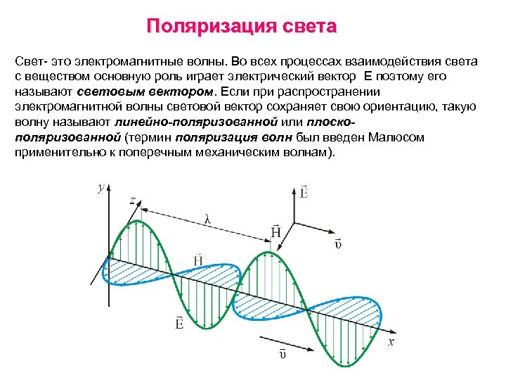 Поляризация света Свет- это электромагнитные волны. Во всех процессах взаимодействия света с веществом основную