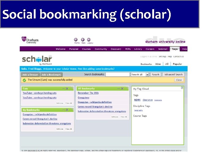 Social bookmarking (scholar) 