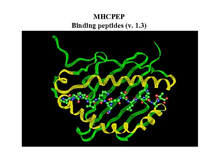 MHCPEP Binding peptides (v. 1. 3) 