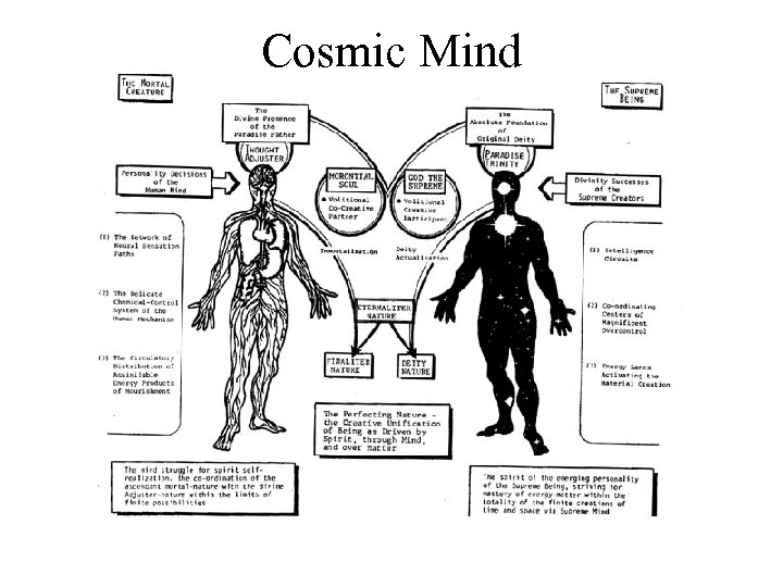 Cosmic Mind 