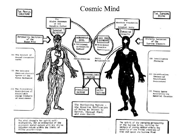 Cosmic Mind 