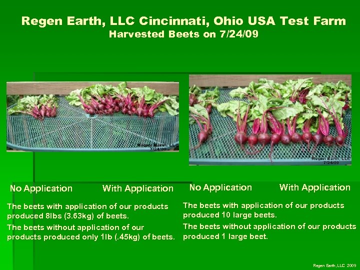 Regen Earth, LLC Cincinnati, Ohio USA Test Farm Harvested Beets on 7/24/09 No Application