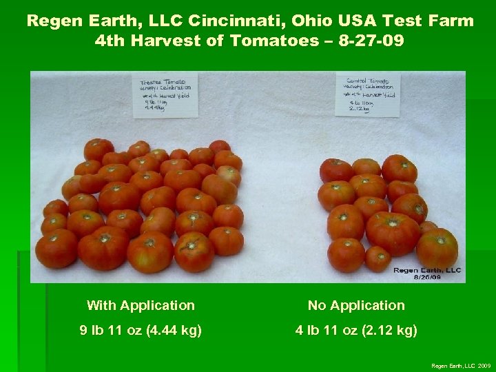 Regen Earth, LLC Cincinnati, Ohio USA Test Farm 4 th Harvest of Tomatoes –