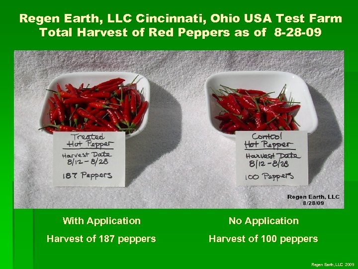 Regen Earth, LLC Cincinnati, Ohio USA Test Farm Total Harvest of Red Peppers as