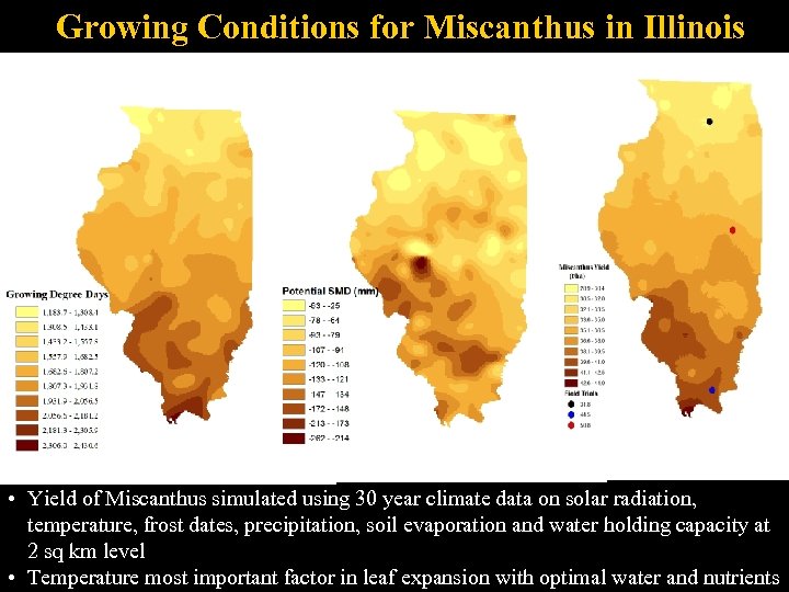 Growing Conditions for Miscanthus in Illinois • Yield of Miscanthus simulated using 30 year