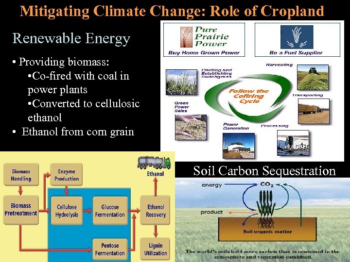 Mitigating Climate Change: Role of Cropland Renewable Energy • Providing biomass: • Co-fired with