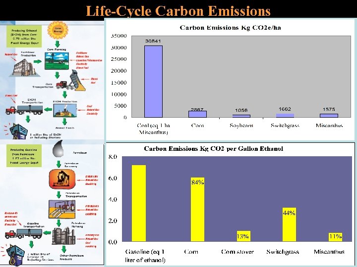 Life-Cycle Carbon Emissions 